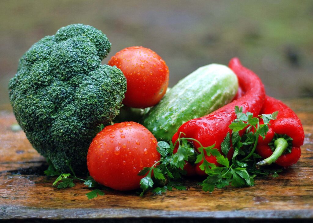 Benefits of Gardening Organic food
