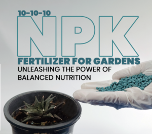 benefits of NPK fertilizer